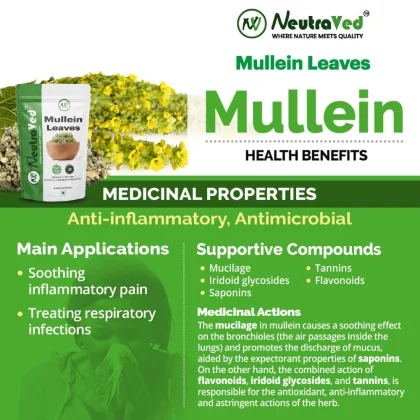 Mullien Leaves image 3